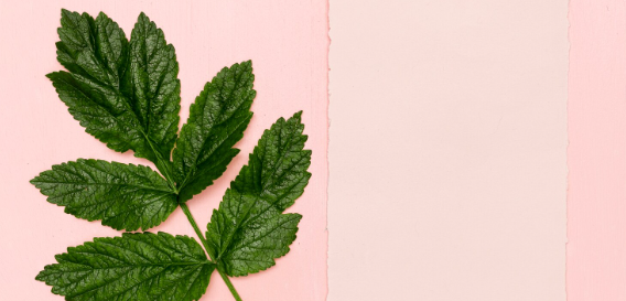 Experience Relief with Lidocaine Menthol Patches